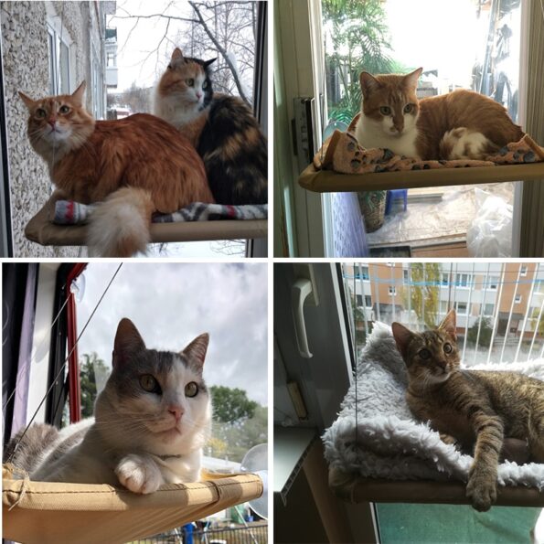 Cute-Pet-Hanging-Beds-Bearing-20kg-Cat-Sunny-Window-Seat-Mount-Pet-Cat-Hammock-Comfortable-Cat-2.jpg